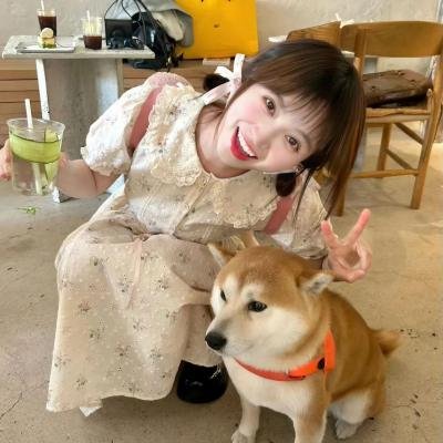 夏风 海报